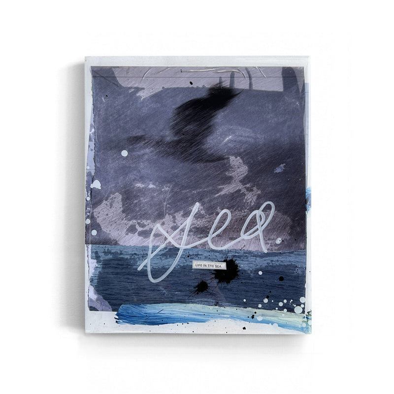 LIFE IN THE SEA